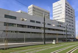 We did not find results for: Facultad De Ciencias De La Salud Universidad De Granada Wikipedia La Enciclopedia Libre