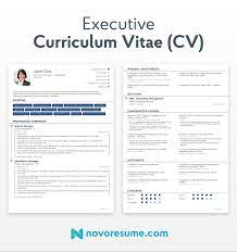 The word 'cv' is more common. How To Write A Cv Curriculum Vitae In 2021 31 Examples