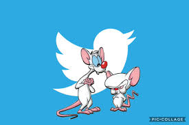 The brain claims he and pinky are among the last of the nearly extinct mousealope species. Pinky And The Brain Pinkyandbrainy Twitter