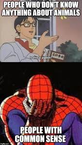Image Tagged In Confused Anime Guy Imgflip