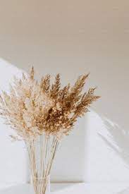Reeds In Vase By Floral Deco On Creativemarket Background Wallpaper Instagram Phone Iphone Design Cute Aest Dried Flowers Cream Aesthetic Flower Aesthetic