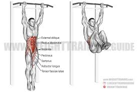 This is one of the best exercises to strengthen your abs while also taking care of your core muscles in general, which in turn is the best way to prevent back lower back pain. Hanging Leg Lifts For Abs