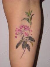 Had to get some playful energy out. Amy Black Amyblacktattoos Profile Pinterest