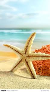 Whatsapp Duvar Kagitlari Cep Telefonunuzun Cehresini Degistirecek Birbirinden Guzel 111 Arka Plan Onerisi Plaj Duvar Kagidi Resimler Okyanus