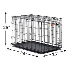 We did not find results for: Dog Crate Midwest Icrate 36 Folding Metal Dog Crate W Divider Panel Floor Protecting Feet And Leakproof Dog Tray Folding Dog Crate Dog Crate Dog Crate Cover