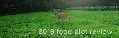 Unfortunately, this is never a black and white answer. 2019 Food Plot Seed Review By Deerbuilder Com