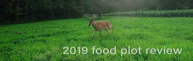 Today i have a fun plan for you on the farm vlog.we're gonna show you the best tools for planting a food plot so you can grow big deer on your property. 2019 Food Plot Seed Review By Deerbuilder Com