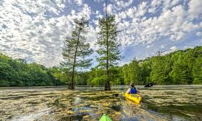 Maybe you would like to learn more about one of these? Mississippi River State Park Arkansas State Parks