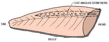 How To Debone A Trout Fillet
