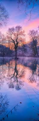 We did not find results for: Twitter Nature Photography Amazing Nature Photography Beautiful Photography Nature