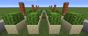 Cactus farms are useful for acquiring green dye by smelting the cactus blocks. How To Build An Automatic Cactus Farm In Minecraft 1 16 Noobforce