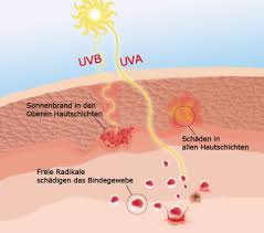 Es beseht aber vor allem eine abhängikeit der. So Wirken Uv Strahlen Auf Unsere Haut Just Deutschland Gmbh
