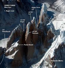 Image result for Memecylon torrei