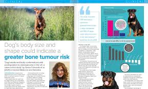 Osteosarcomas are painful tumours that often first appear as hot, solid, tender swellings. Vetcompass Osteosarcoma Research Appears In This Month S Northern Ireland Veterinary Today News Vetcompass Royal Veterinary College Rvc