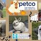 Petco Offsite Adoption Event event image