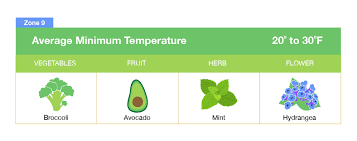 We did not find results for: Planting Zones Map Find Your Plant Hardiness Growing Zone