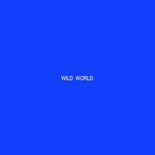 Wild World Des Hume