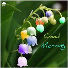 Happy tuesday everyone, hope you'll have a lovely, blessed day. 30 Lovely Good Morning Scenery Images For Whatsapp