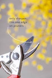 Use a wire brush, steel wool, or toothbrush to remove the hair stuck in the blades. How To Half Assedly Maintain Your Garden Tools The Art Of Doing Stuff