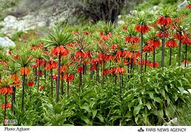 images?q=tbn:ANd9GcQwfh8c5qoc_SeybB1TmoQpXvAsuUfwFw6Kt8xZZATffxp-CQU9