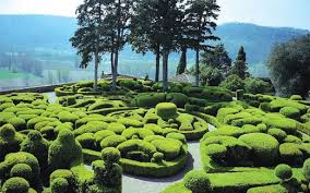 Maybe you would like to learn more about one of these? Gubah Pokok Renek Jadi Pelbagai Bentuk Harian Metro