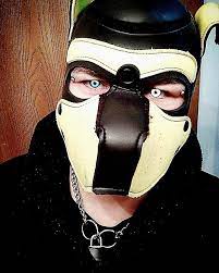 Human Pup Pup Puppy Play Human