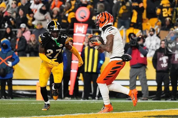 Bengals beat Steelers to keep NFL playoffs hopes alive