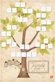 265 Best Family Tree Ideas Images Family Genealogy Family