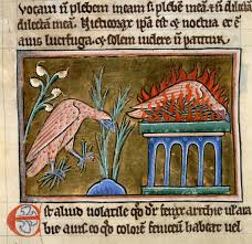 Its scarlet feathers glowed faintly in darkness, while its golden tail feathers were hot to the touch. Phoenix Mythological Bird Britannica