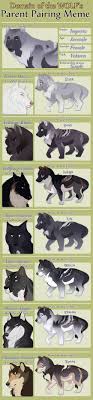 Imperia S Parent Meme By Tazihound On Deviantart Cute Animal Drawings Kawaii Cute Animal Drawings Wolf Artwork