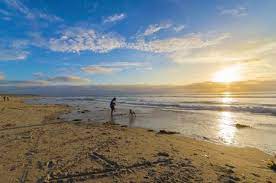 In amerika erschien die gattung vor etwa 9,8 bis 8,8 millionen jahren. Das Pazifik Strand In San Diego Sudkalifornien In Den Vereinigten Staaten Von Amerika Ein Blick Auf Einige Menschen Zu Fuss Den Goldenen Sandkuste Am Meer Lizenzfreie Fotos Bilder Und Stock Fotografie Image 28040199