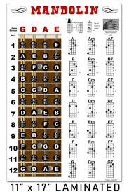 Instructional Poster For Basic Mandolin Fretboard And Chord Chart 11 X 17 Inch