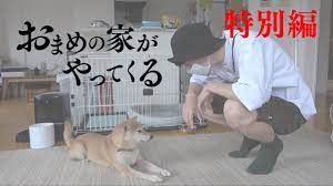 山名もう立ち直ってるやろ 385 風吹けば名無し 2021/02/02(火) 20:22:33.36 id:cxi95zul00202 いまのベボベ？ 386 草. ã‚¢ã‚­ãƒŠå±±åæ–‡å'Œã®å­¦æ­´ å­¦æ ¡ã‚„å®Ÿå®¶ å®¶æ— å…„å¼Ÿ çŠ¬ã«ã¤ã„ã¦èª¿æŸ»