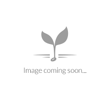 Get the best deal for taylor swift vinyl records from the largest online selection at ebay.com. Swift Vinyl Groover Cd Taylor Swift Reputation Musium Musik Store Taylor Swift 8 Limited Edition Folklore Vinyl Unboxing Arshia Taylor