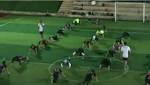 القاهرة تستضيف أول كأس إقليمية