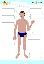 Head Shoulders Knees And Toes Esl Efl Worksheet Fun2learn So, here we go, print out these cool worksheets and learn to recognize different human body parts. head shoulders knees and toes esl