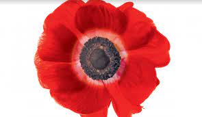 Anzac day commemorates the australians and new zealanders who served and died in all wars, conflicts, and peacekeeping operations and the contribution and suffering of all those who have served. News Corp Australia Supports Australians Commemorating Anzac Day Remotely