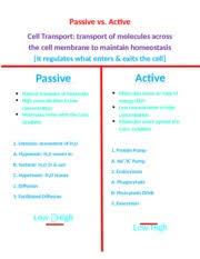 Passive Vs Active T Chart Passive Vs Active Cell Transport