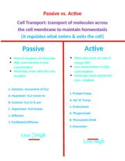 Passive Vs Active T Chart Passive Vs Active Cell Transport