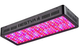 The reason for that is simple: Top 25 Best Led Grow Lights 2021 Mold Resistant Strains