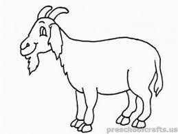 See more ideas about boer goats, goats, goat farming. Pin On Goat Template