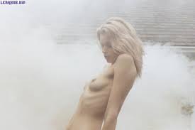 Abbey Lee Kershaw Naked - LeakHub