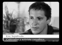 La política de drogas actual es un desastre y afecta millones de vidas”