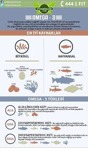 Metabolizma Destekleyici Besin Sebze Meyve Vitamin Beslenme Vitaminler Metabolizma Saglik