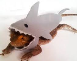 Diy Bearded Dragon Costume Pdf Printable Sewing Pattern And Tutorial Booklet Bearded Dragon Costume Bearded Dragon Clothes Bearded Dragon