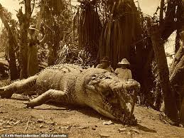 Henry the crocodile was born in the okavango delta in botswana and was captured in 1903. The Biggest Crocodile Ever Caught In Australia Was Shot By Polish Woman Krystyna Pawlowski Daily Mail Online