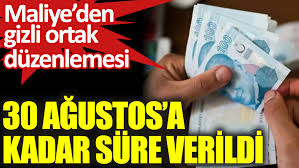 Bu form 529 no.lı vuk genel tebliğinin hükümleri çerçevesinde doldurulacaktır. Maliye Den Gizli Ortak Duzenlemesi 30 Agustos A Kadar Sure Verildi