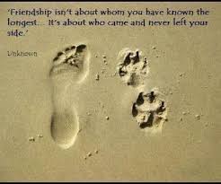 Vegan Great Dane Quotes About Dogs Dog Quotes Animal Quotes Pets