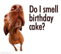 A classic, all around paper with a natural feel and an uncoated matte finish; Funny Birthday Dog Today Is My Birthday As I Climbed Into My Mid 40 S All I Can Say Is Birthday Wishes Funny