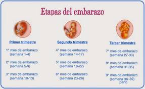 Cuantos Meses Son 30 Semanas Bebitos Mayo 2016 Babycenter
